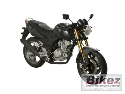 2011 Sachs Roadster 125 photo